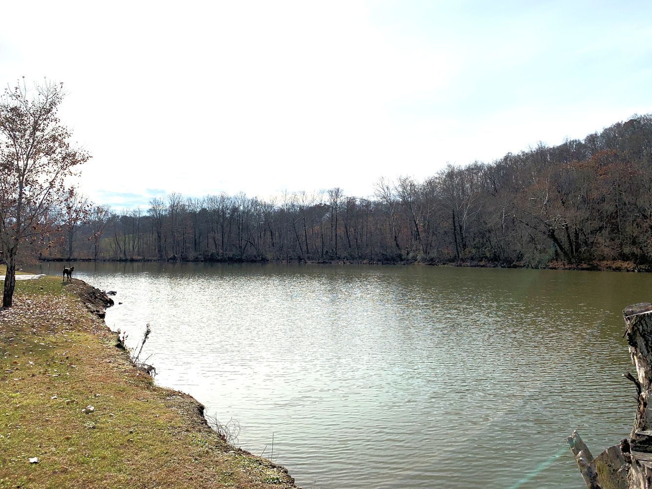 9713 Grandview Lake Rd, Ashland, KY 41102